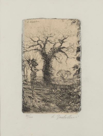 La Quercia Bella