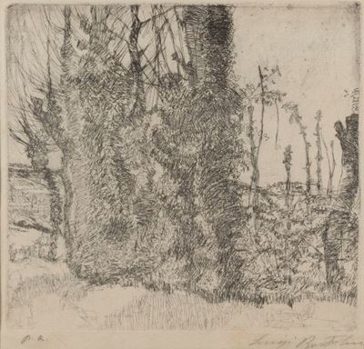 Gli Alberi Giovani