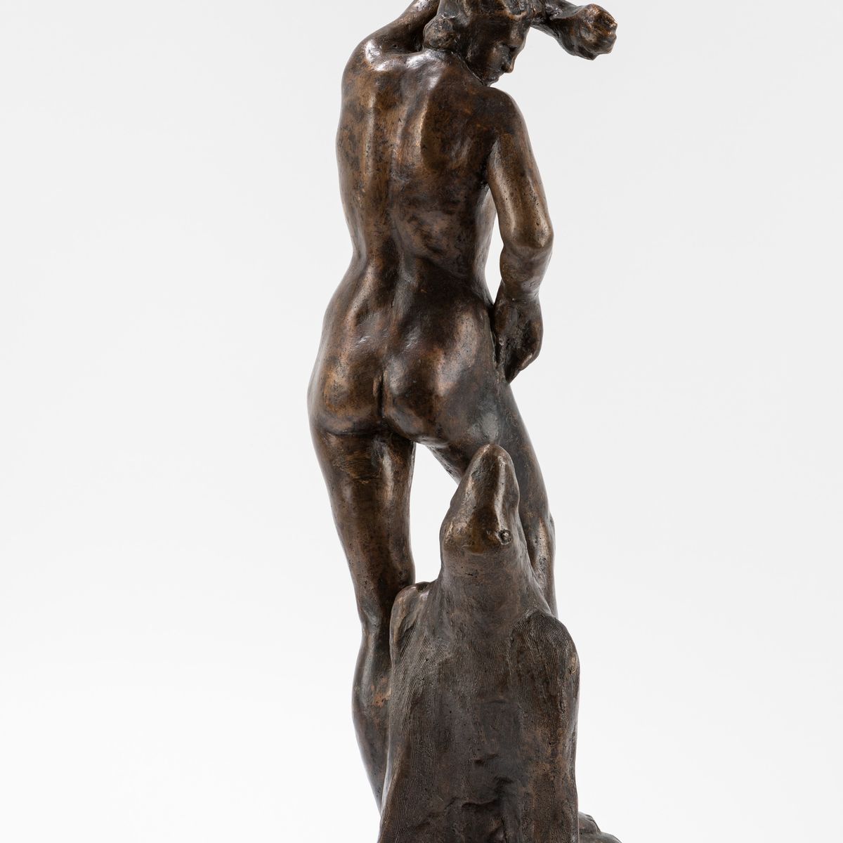 Gianni Remuzzi - Selkie