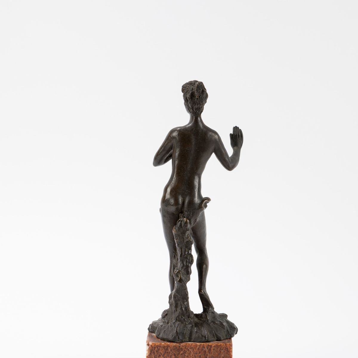 Arrigo Righini - Dafne