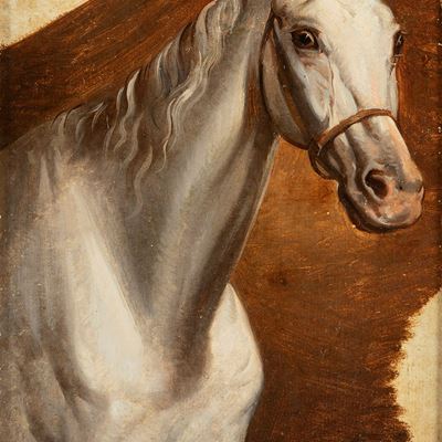 Cavallo Bianco
