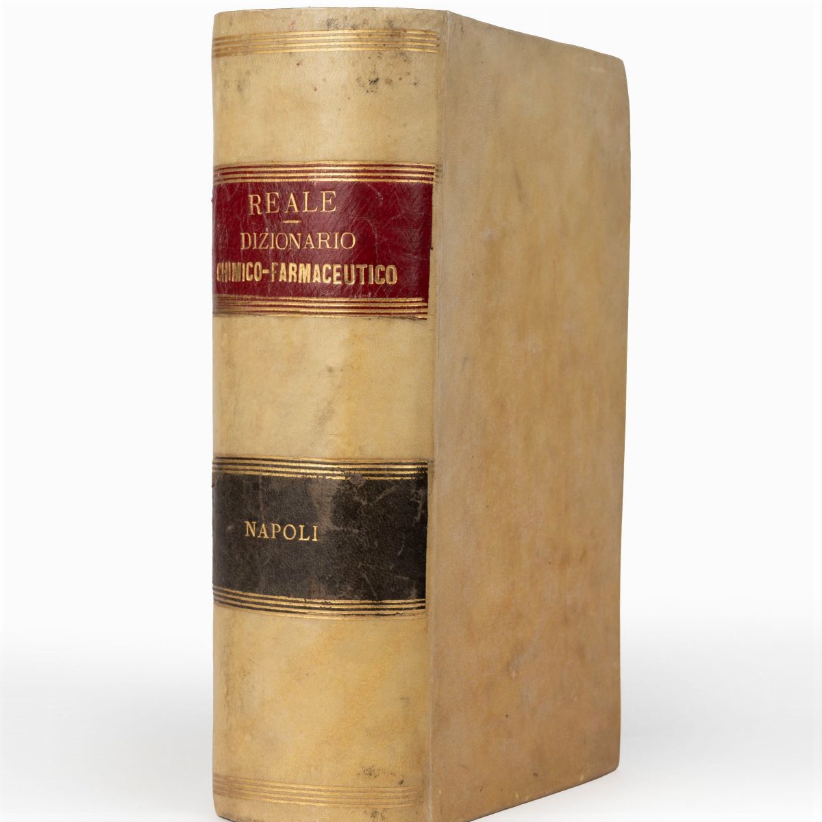 Nicola Reale - Dizionario generale chimico-farmaceutico, 1887