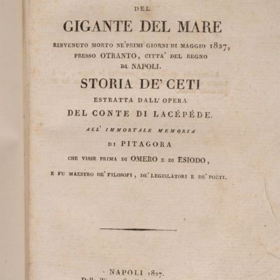 Le avventure del gigante del mare. Rinvenuto morto ne' primi giorni di maggio 1827 presso Otranto...