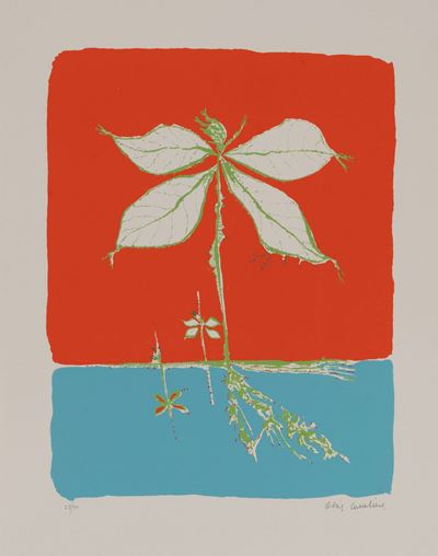 "la Cartullina" ed Altre Poesie