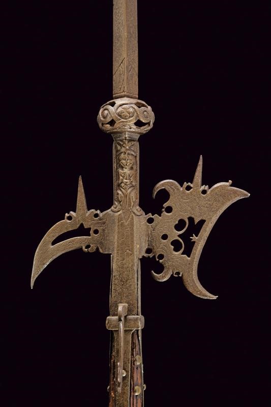 Bella e Rara Alabarda