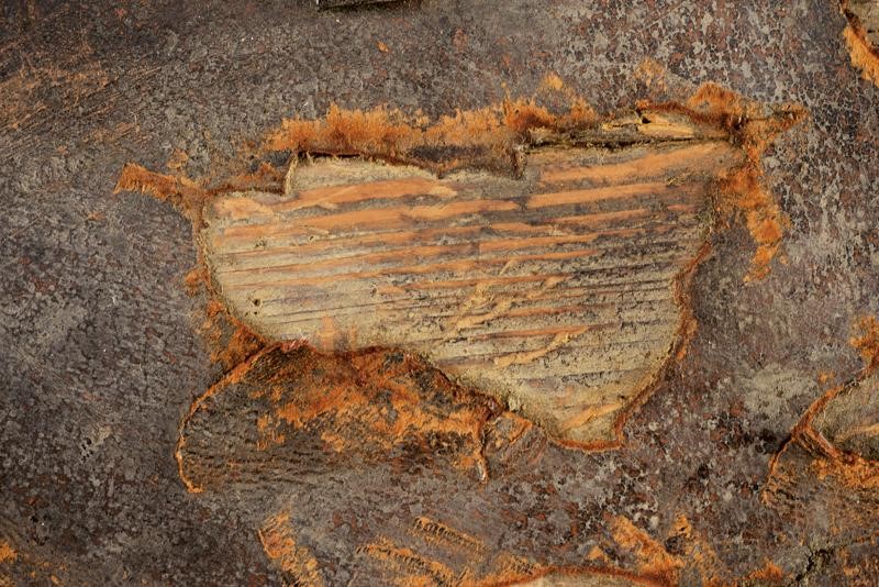 Rarissima Targhetta da Pugno con Fornimenti in Ferro