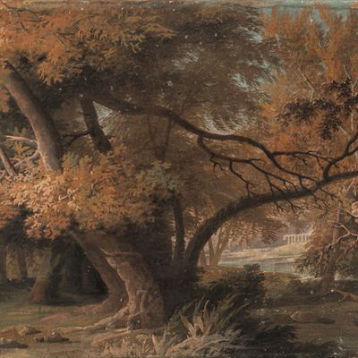 Paesaggio Fluviale