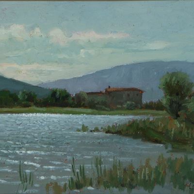 Spinone al Lago