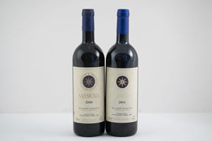 Bolgheri - Bolgheri