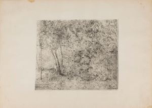 Landscape with trees