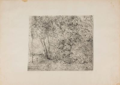 Paesaggio con Alberi