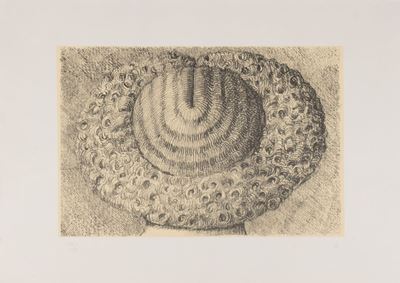 Indéfrisable