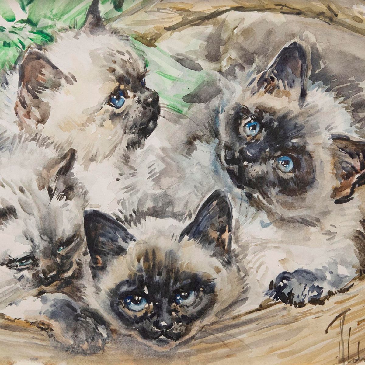 Aldo Raimondi - Cani e Gatti
