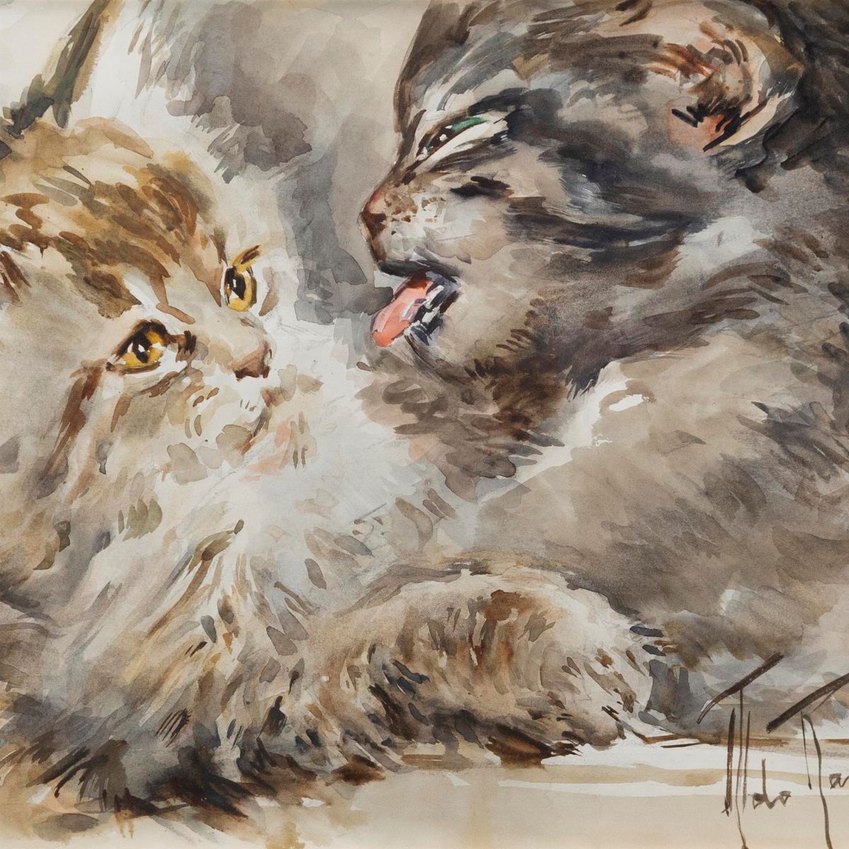 Aldo Raimondi - Cani e Gatti