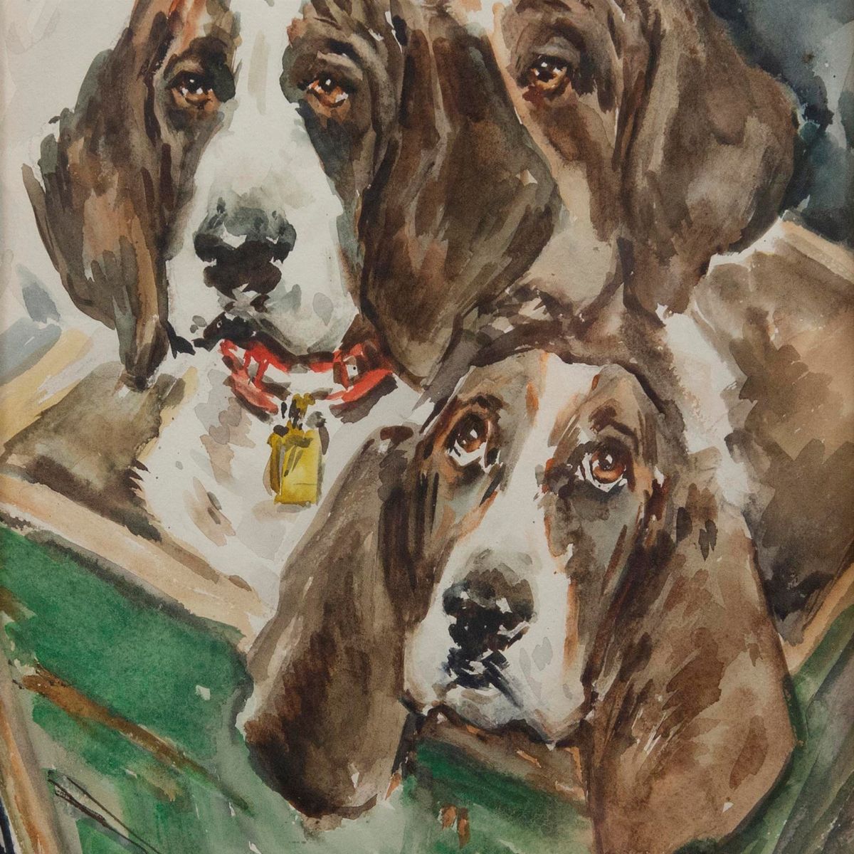 Aldo Raimondi - Cani e Gatti