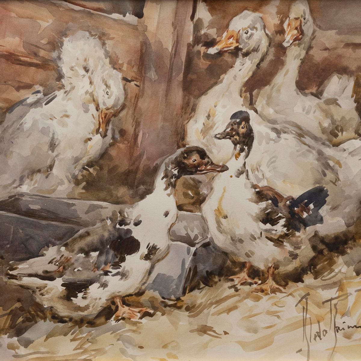 Aldo Raimondi - Animali da Fattoria
