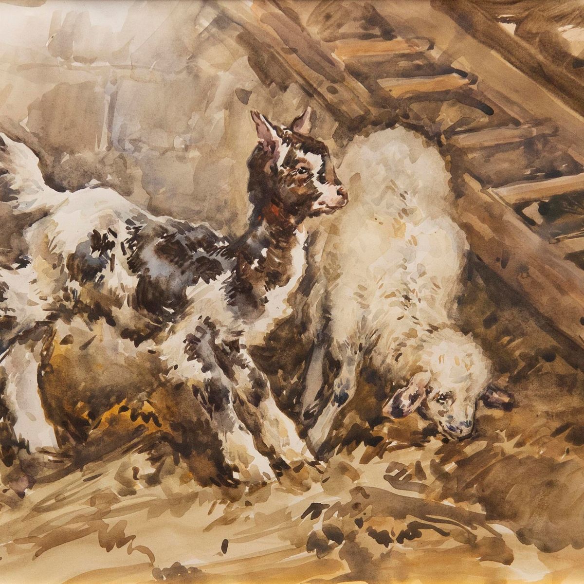 Aldo Raimondi - Animali da Fattoria