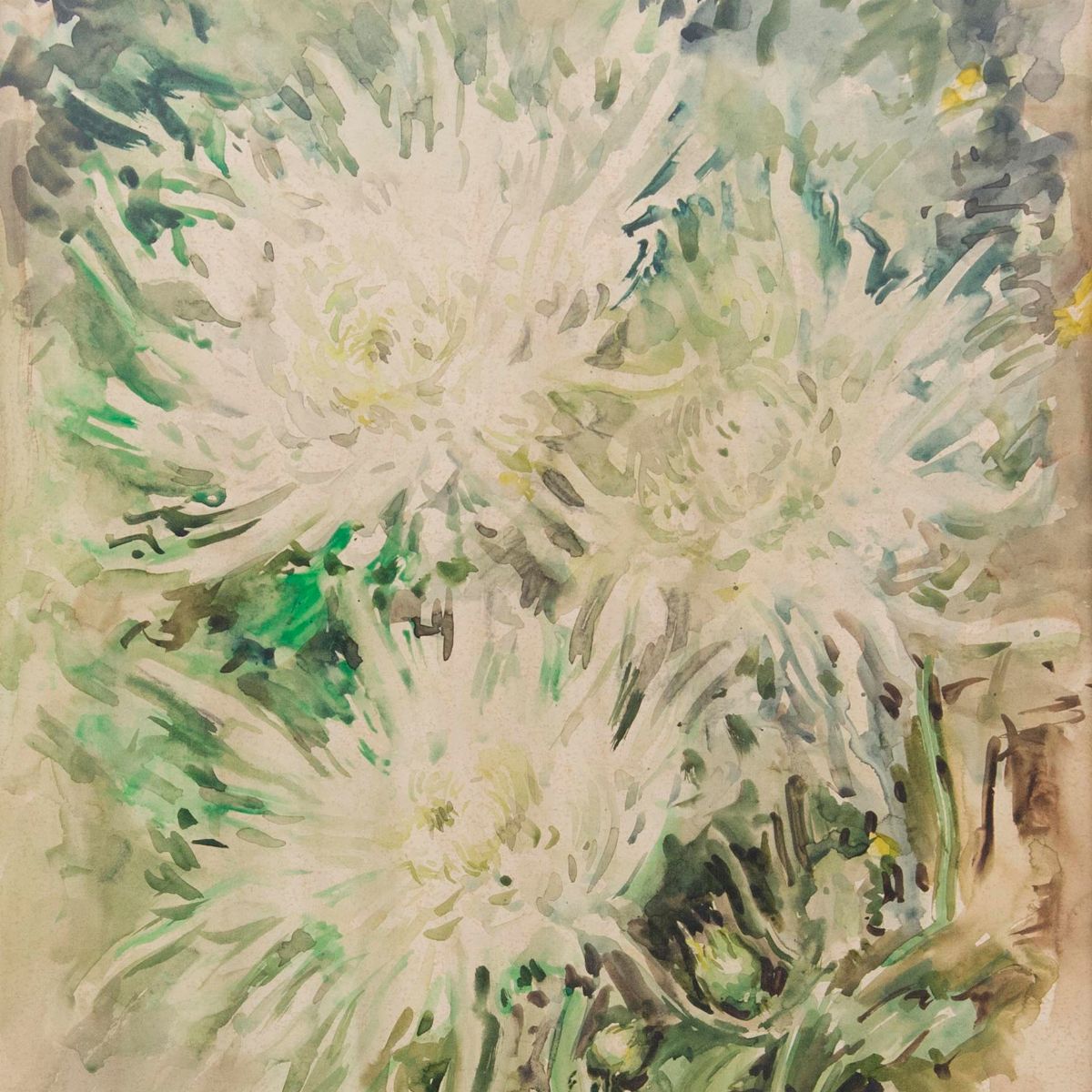 Aldo Raimondi - Fiori