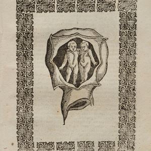 Scipione Mercurio - The Commare or Gatherer