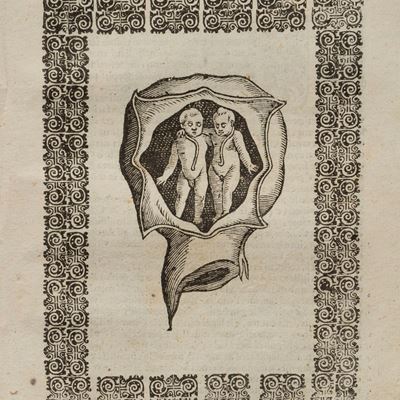 La Commare o Raccoglitrice, trattato di ostetricia, Verona, 1642