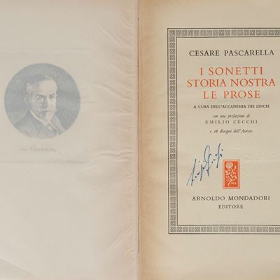 I sonetti storia nostra, le prose