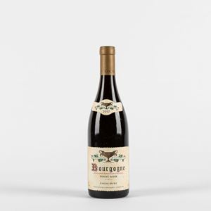 Coche-Dury Bourgogne Pinot Noir (1 BT)