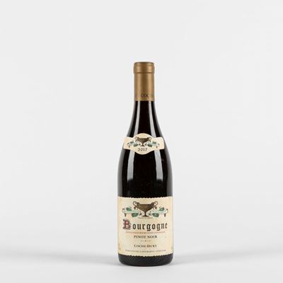 Coche-dury Bourgogne Pinot Noir (1 Bt)