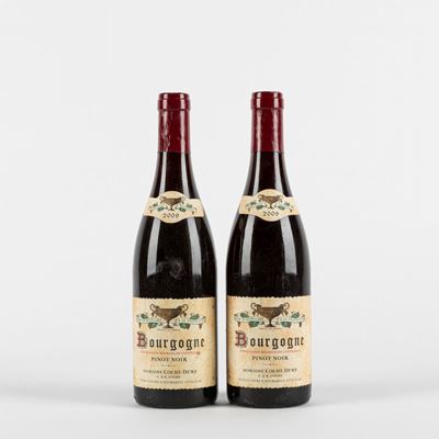 Coche-dury Bourgogne Pinot Noir (2 Bt)