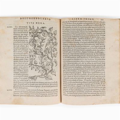 Sansovino, Della materia medicinale libri quattro
