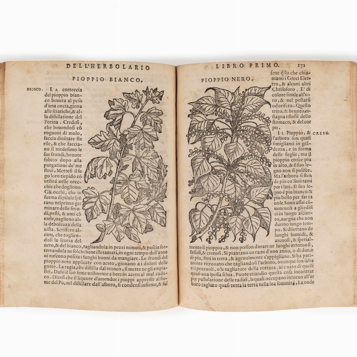 Sansovino, Francesco - Sansovino, Della materia medicinale libri quattro