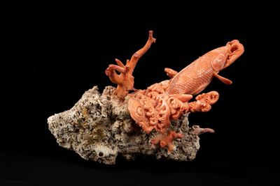 Scultura in corallo raffigurante una carpa, Giappone, prima metà del XX secolo
