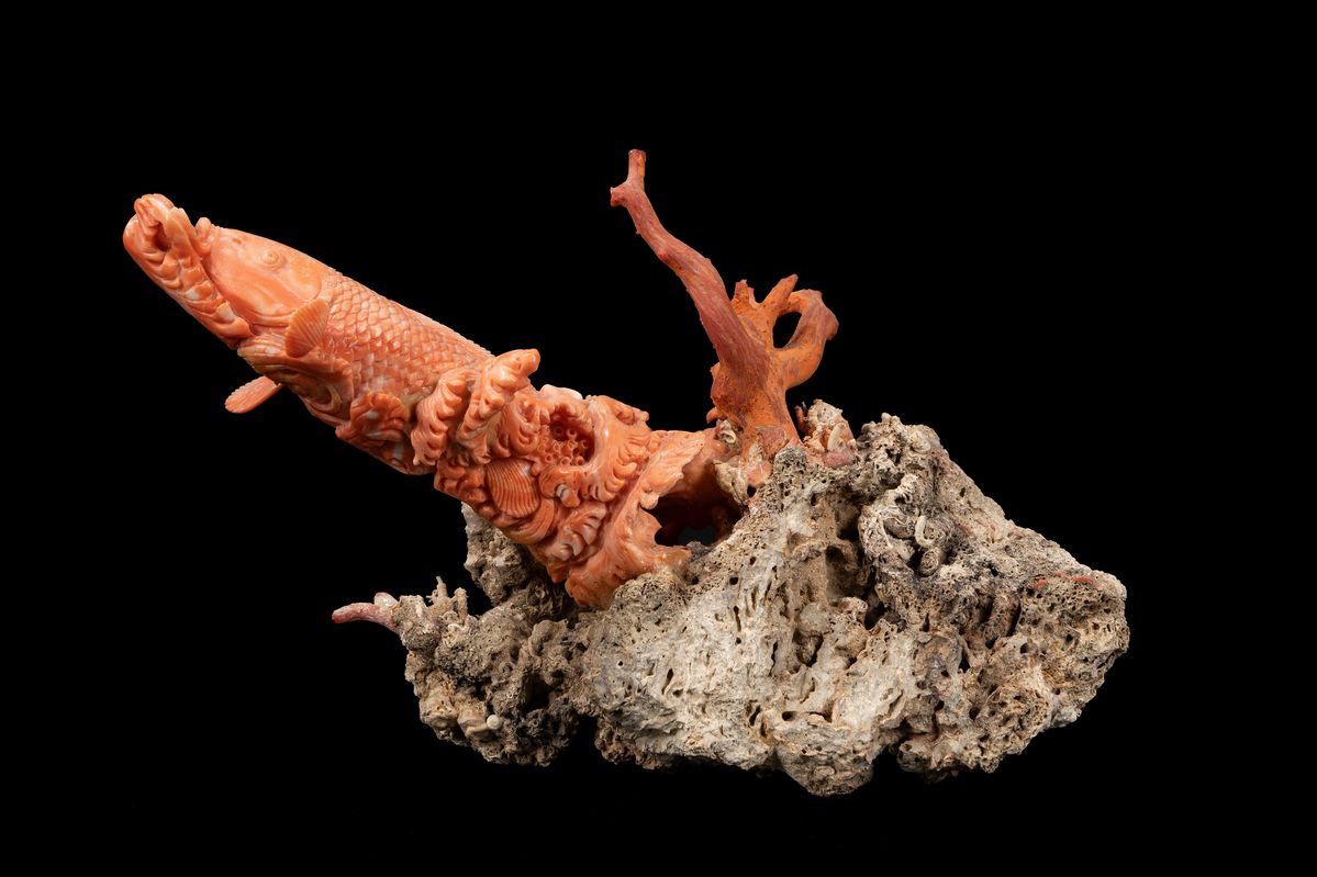 Scultura in corallo raffigurante una carpa, Giappone, prima metà del XX secolo