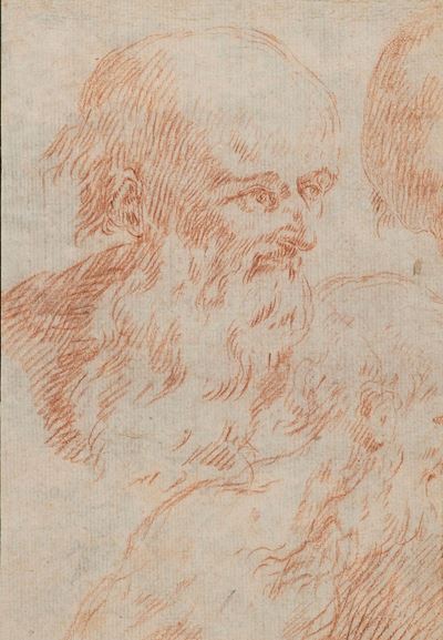 Studi di teste virili, sanguigna su carta
