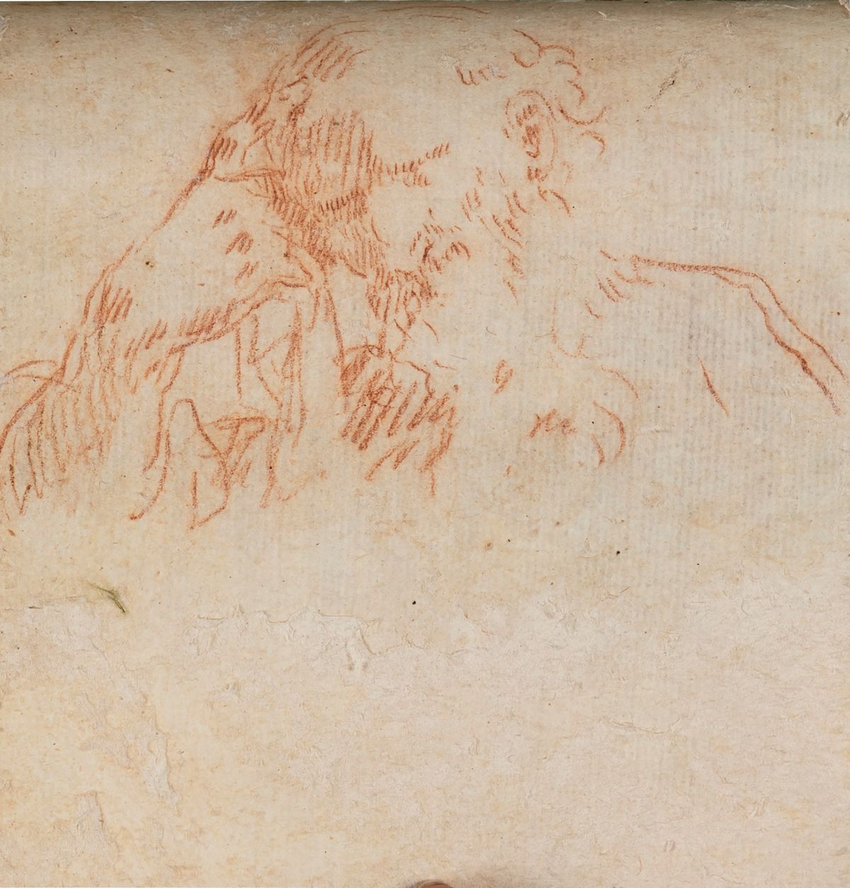 Scuola Dell'italia Settentrionale, Secolo XVII - Studi di teste virili, sanguigna su carta