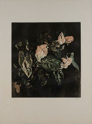 Anthurium