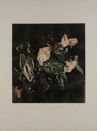 Anthurium