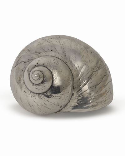 Conchiglia