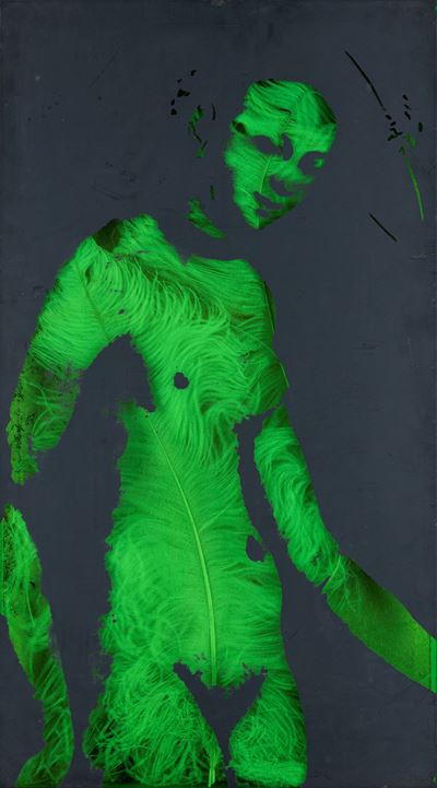 Studio per Venere, serigrafia su metacrilato, 1971