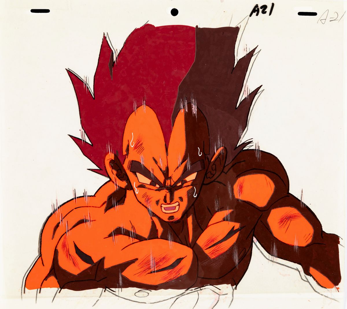 Studio Toei Animation - Toei Animation, Dragon Ball Z - Coppia di Cel Originali su Douga con Tecn...