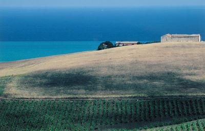 Paesaggio, Sicilia - C-print, 2009