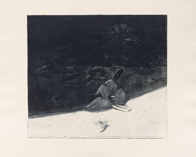 Vita e Morte Dell'ibisco