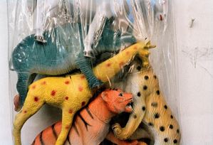 From the series "Selvatico" , "Sacco con animali"