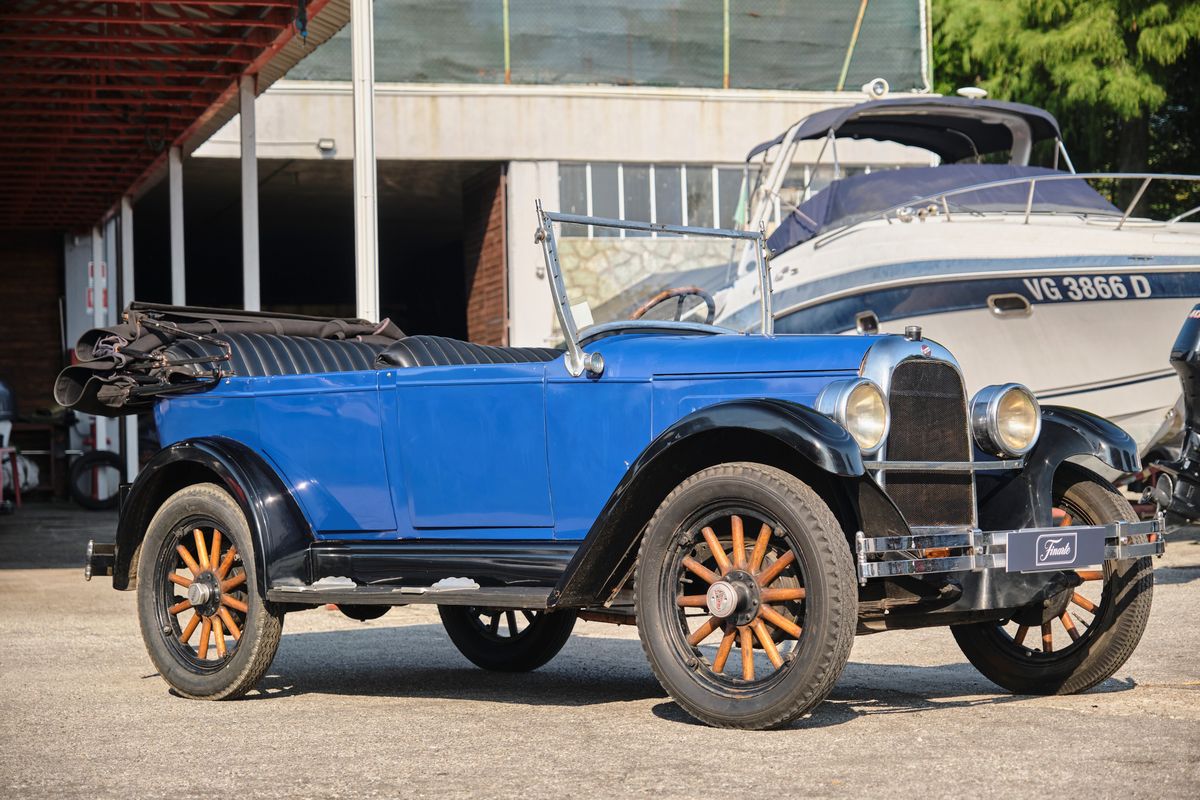 Whippet - Phaeton