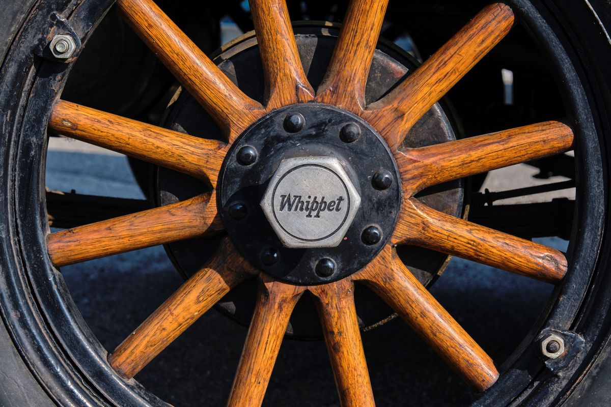 Whippet - Phaeton