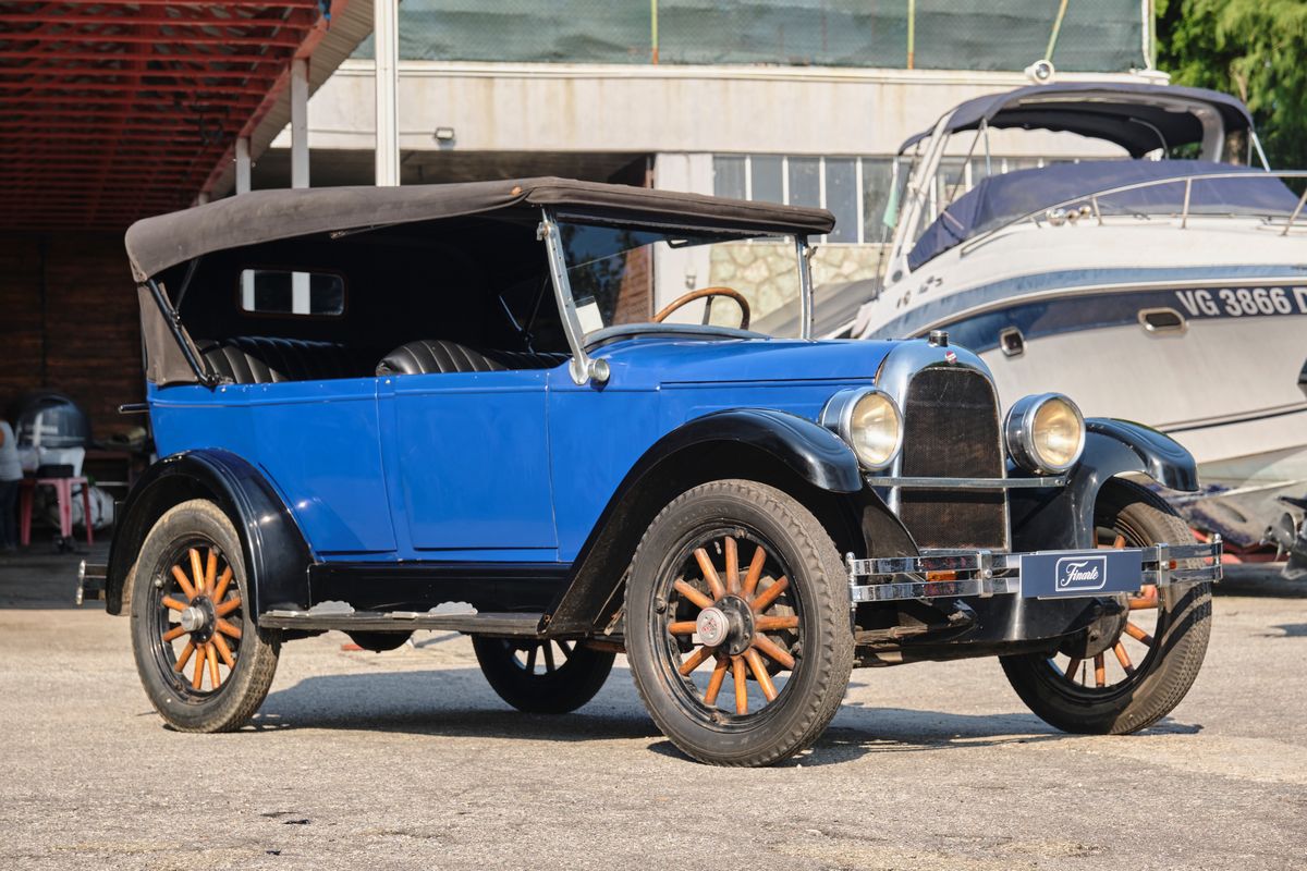Whippet - Phaeton