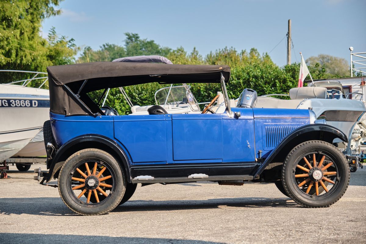 Whippet - Phaeton