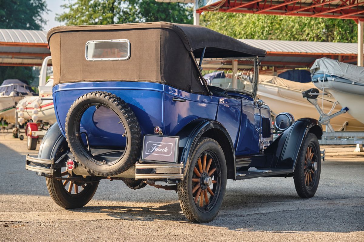Whippet - Phaeton