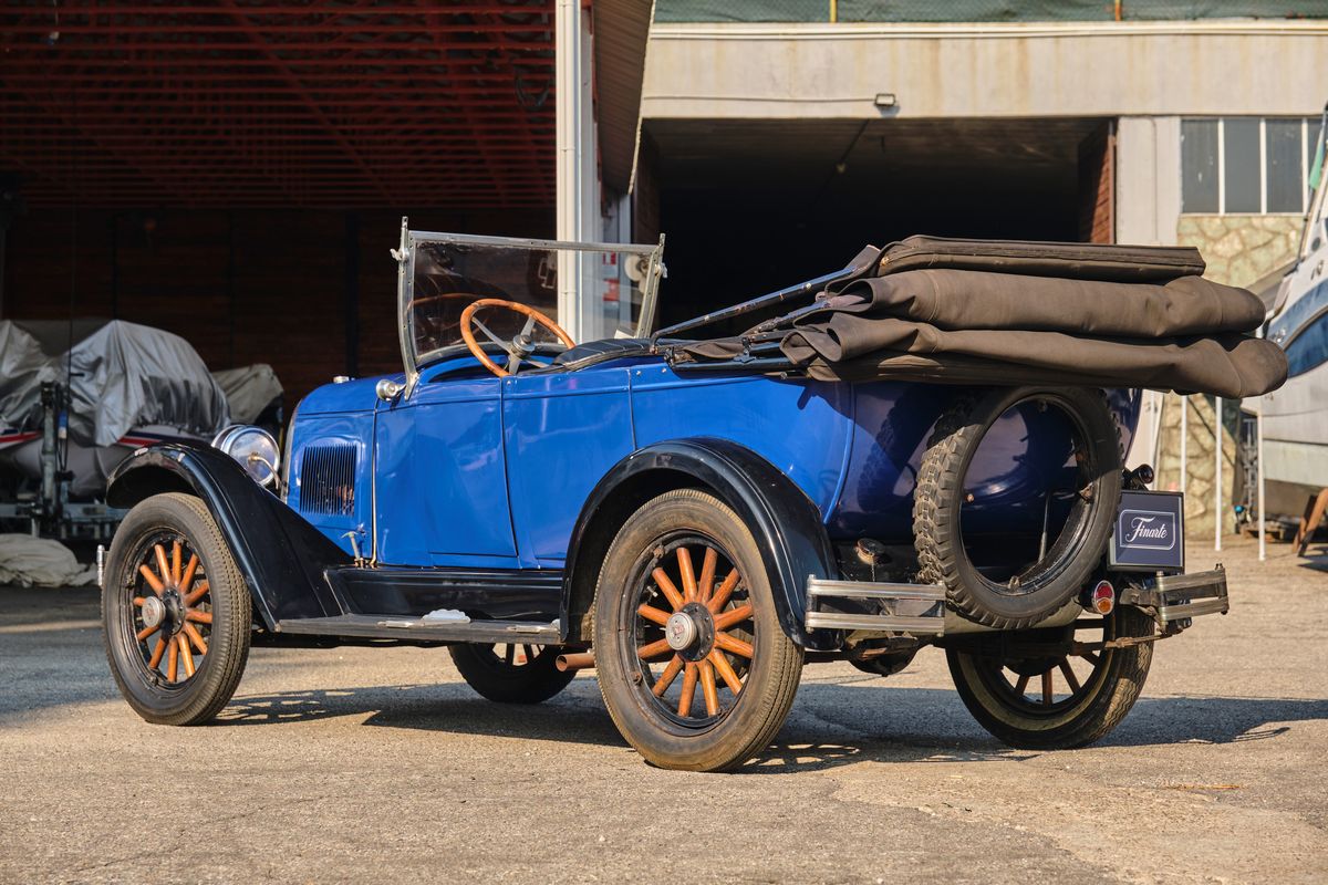 Whippet - Phaeton