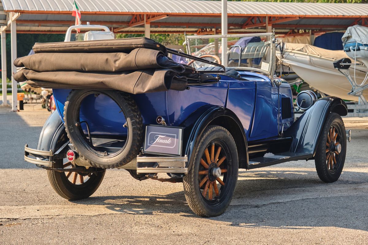 Whippet - Phaeton