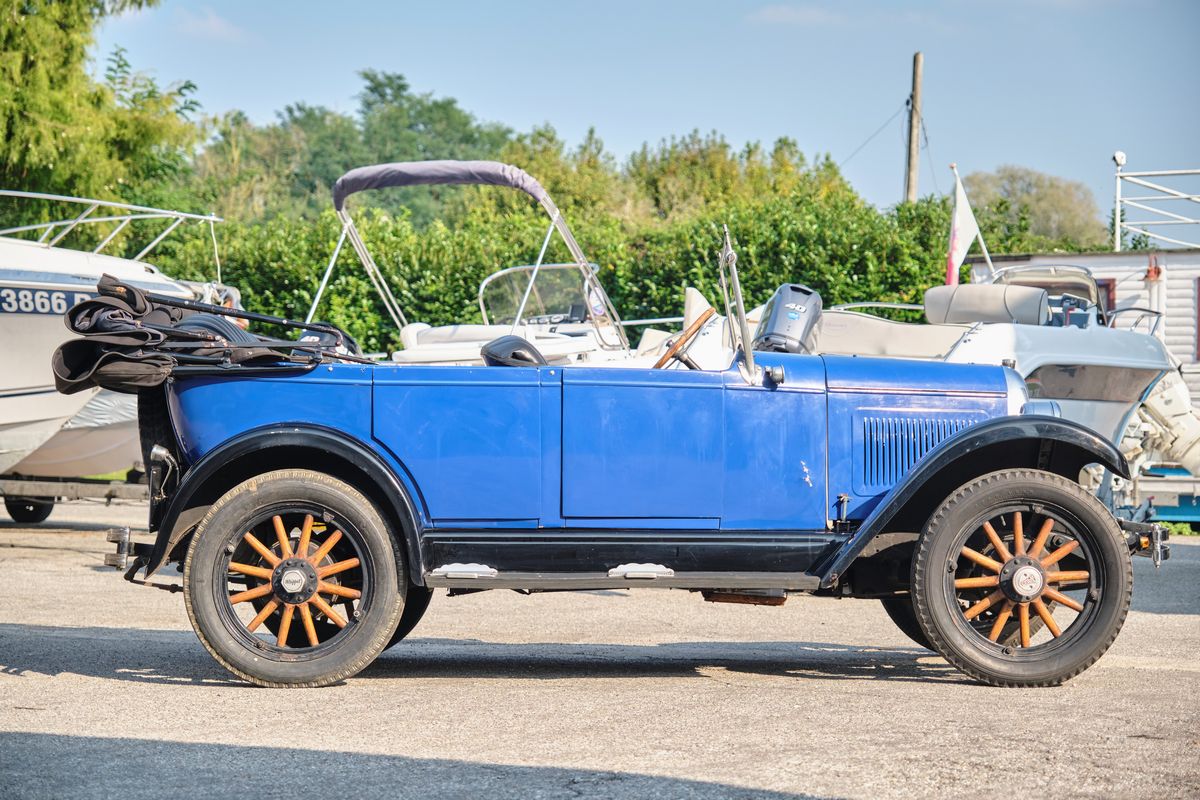 Whippet - Phaeton
